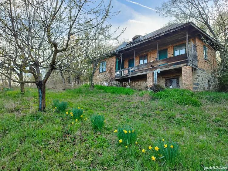 Crama din piatra ?i Casa batraneasca la munte cu Fantana Curent Teren 5200mp Livada Crama din piatra ?i Casa batraneasca la munte cu Fantana Curent Teren 5200mp Livada