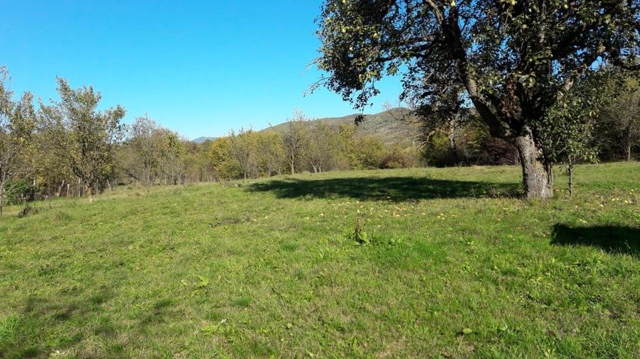 Teren intravilan în sat Făget, com. Drajna, Prahova - 4