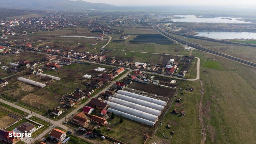 Teren 1.570 mp + casa din caramidazona linistita - 4