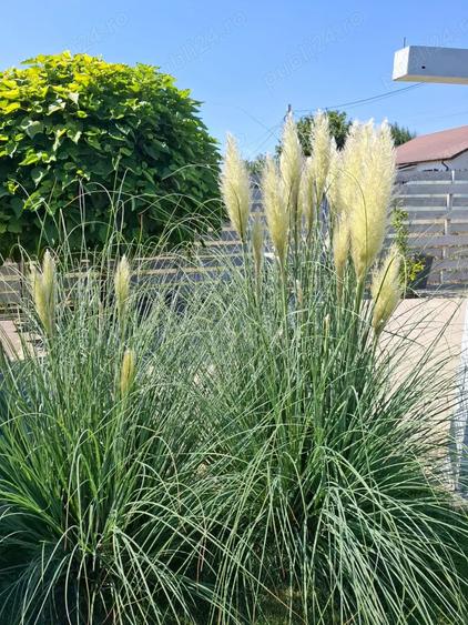 Casa ta te a?teapta in Comuna Darza, Crevedia jud. Dambovi?a - 8