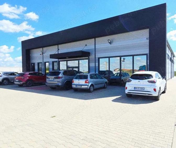 Teren cu hala noua de vanzare, parc logistic Salonta Bihor - 1