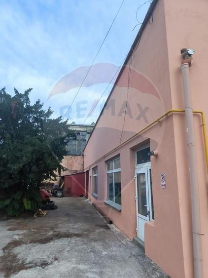 Spatiu industrial de 435mp de inchiriat in zona Sannicolau Mic - 21