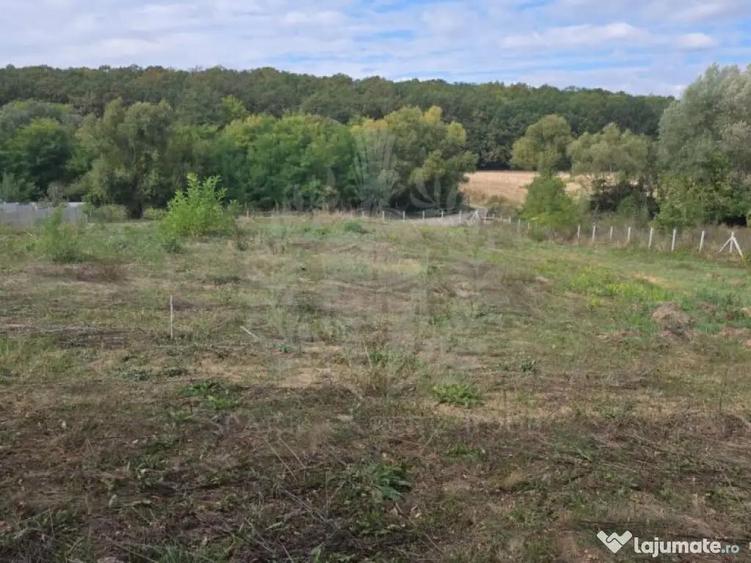 TEREN INTRAVILAN//COM. PLOPU//1300//2700 MP - 1