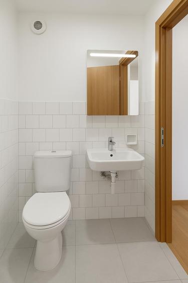 Dristor-Camil Ressu-bloc mixt - 2