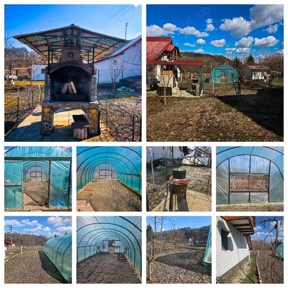 Se vinde: 2 case si o gradina de vis - 6