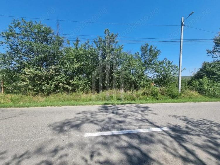 EXCLUSIVITATE! Teren la ?oseaua principala | Tocile - 7