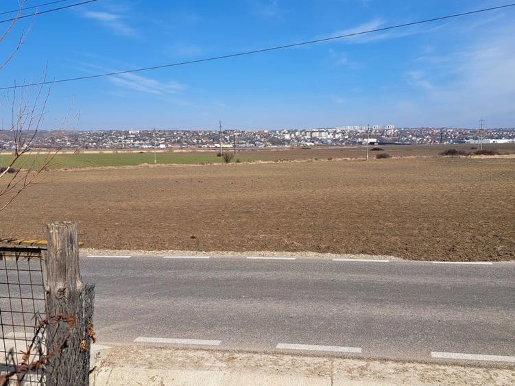 Vand Teren 2100 mp Miroslava Uricani extravilan, persoana fizica - 2