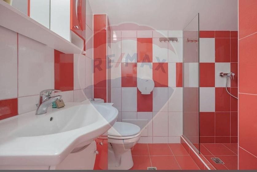 Casă / Vilă cu 16 camere de vânzare Sanmartin/Stefan cel Mare - 21