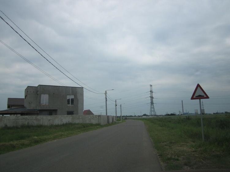 Domnesti-Narciselor - 5