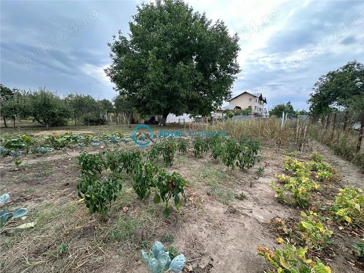 Vanzare vila lipanesti - 6