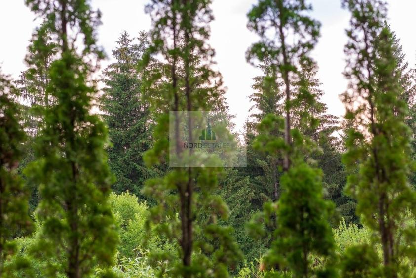 Loc de vis | Poiana Brasov-Silver Mountain - 4