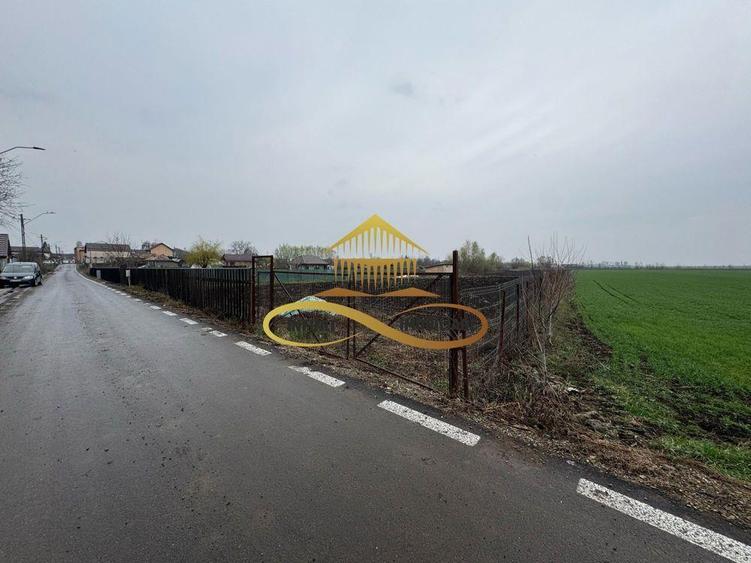 Teren de vanzare Filipesti Bacau 6838 mp - 8