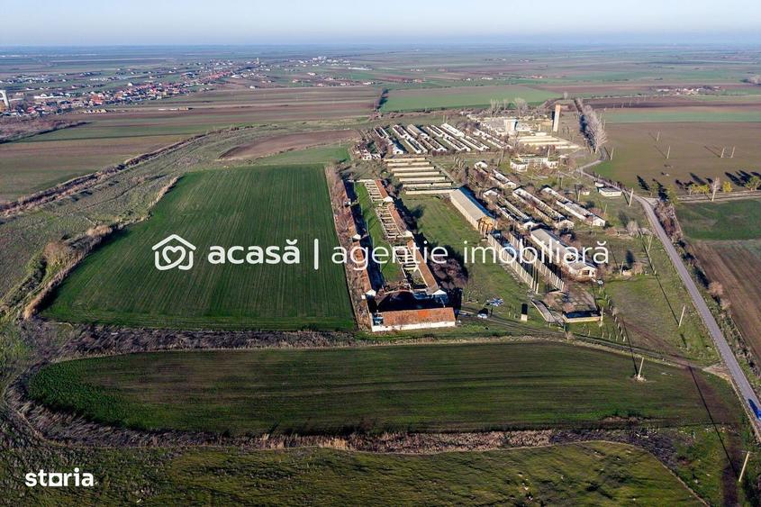 NADLAC | Teren 1.15 HA langa Autostrada | 2.500mp Hale - 7