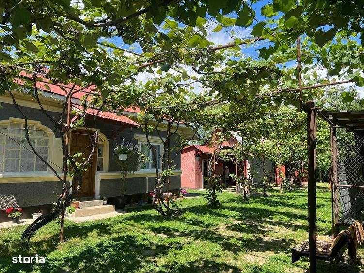 Casa de vanzare, com. Corbii Mari, Satu Nou, jud. Dambovita - 1
