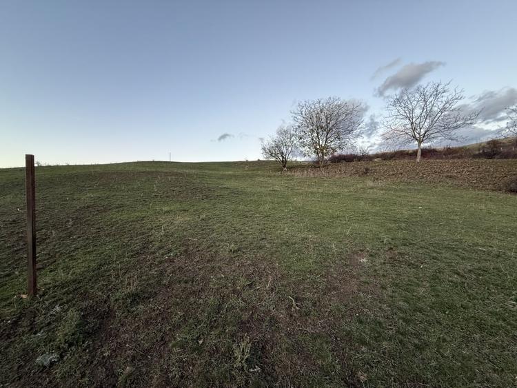 Teren Intravilan cu panorama in Borhanci Str Colonia Sopor 1000mp+85mp cota drum - 3