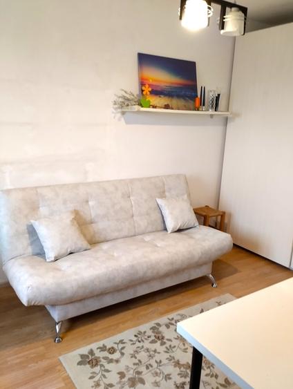 Salaj, Rahova, str. Pricopan, 10 minute de Piata Unirii cu STB 117, ocazie - 4