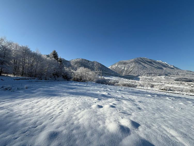 Teren intravilan 500 sau 1000 mp Bran-Tohanita la dum asfaltat - 15