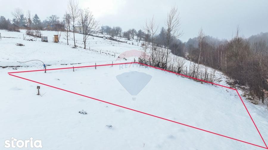 Teren 500 mp intre Perdelu? ?i Tohanul Nou - 9