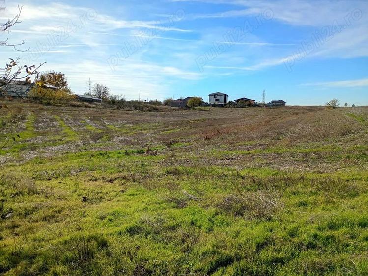 Teren 6.000 mp in Peri?, aproape de Bucure?ti ideal pentru locuin?a sau investi?ie - 8