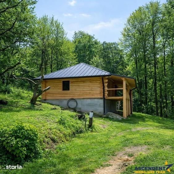 3.000mp de incantare montana cu cabana din lemn masiv, Zarnesti Tohani - 5