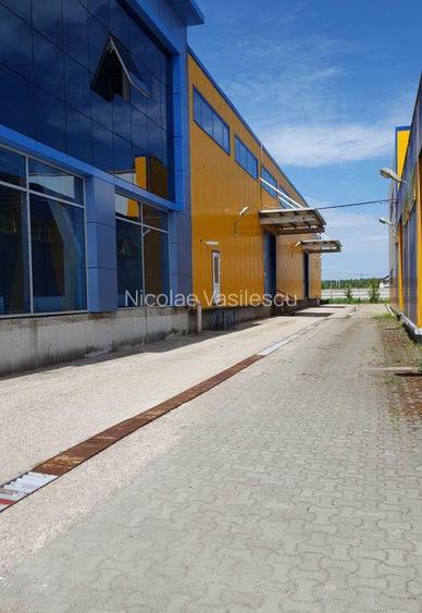 Spa?iu depozitare si productie Ciolpani Spa?iu depozitare si productie Ciolpani
