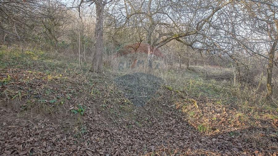 Comision 0! Casă  cu teren de 1000mp in inima Brasovului - 14