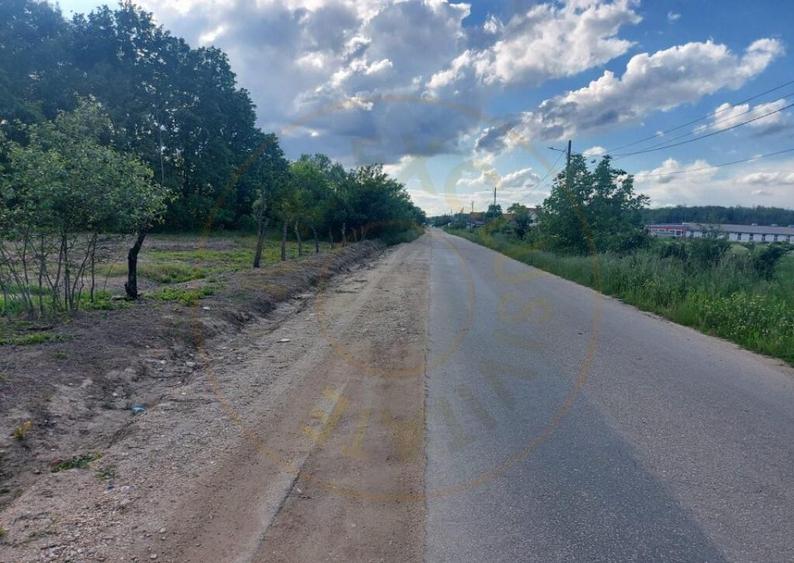 Teren intravilan 1843 mp - Cerbu/Albota/Arges - cu proiect d - 2