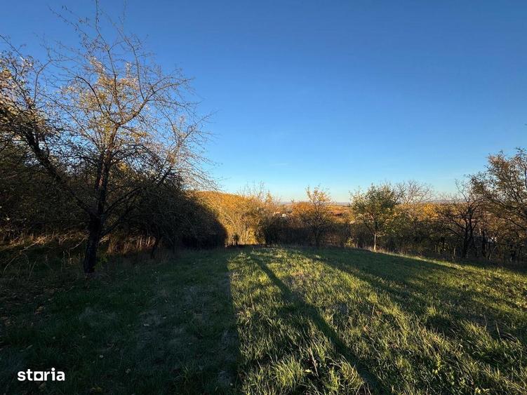 Teren intravilan 3323 Husasau de Cris - 7