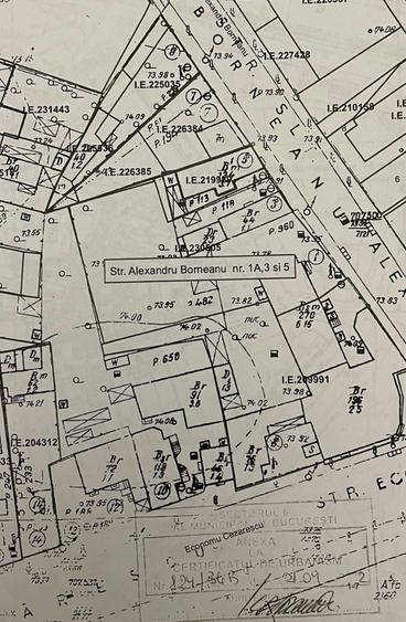 GROZAVESTI || TEREN  890 MP || DESCHIDERE 30 ML - 5