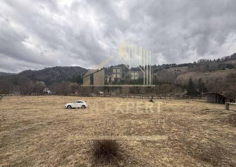 TEREN INTRAVILAN 500 MP SATIC- RUCAR - 16