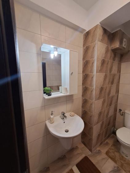 Lux Imobiliare Alexandru Cosmin Residence va ofera spre inchiriere Ap 2 cam - 11