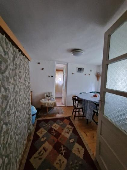 Balilesti - Stradal, casa spatioasa, 4600 mp teren intravilan - curte spatioasa - 15