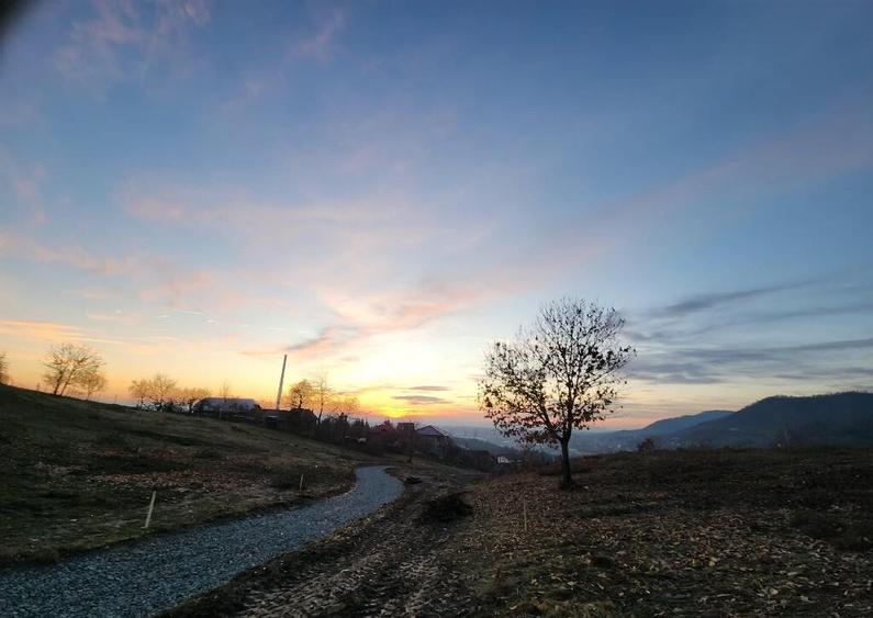 Fragilor, 8 ari -1ha teren - 1