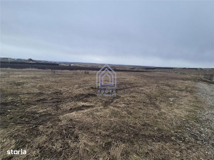 Teren Moara Nica 800 mp - 2