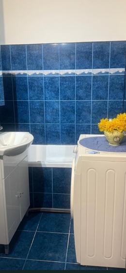 Garsoniera Tractorul- Pet Friendly - 7