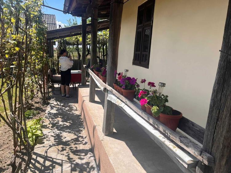 Casa de vanzare in jud.Satu Mare - 1