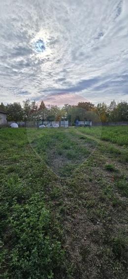 Teren si casă cu teren generos în Socodor - 28