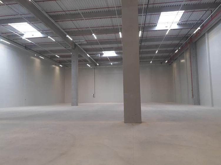Depozite construite conform cerintelor / Warehouses build to suit - 2