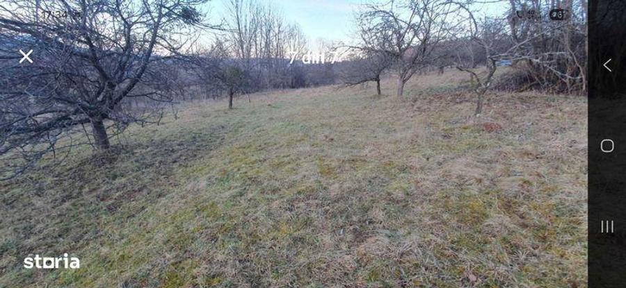 Vind teren intravilan sau extravilan Cacova Ierii - 7