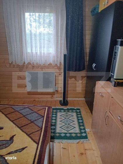 Cabana + teren generos, 60 mp utili, 30 km de Deva - Boz - 5