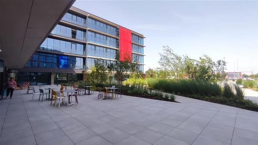 Inchiriere spatiu de birouri in cladire noua Miro BC - 187 MP - 14