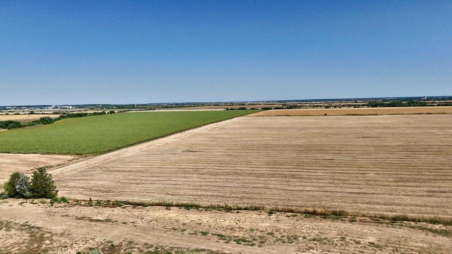 Teren 13629 mp Tunari | Tarla 23 - 3