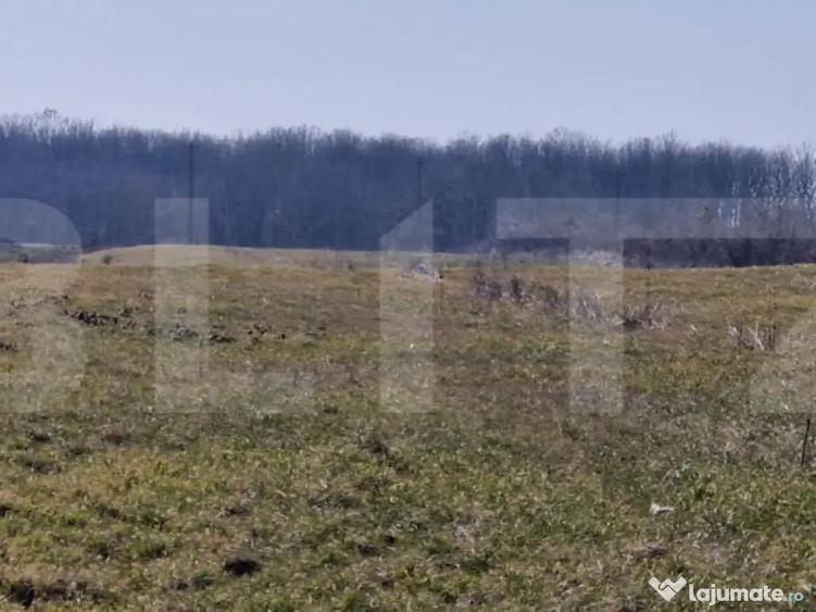 Teren intravilan Robanesti, 10000mp - 1