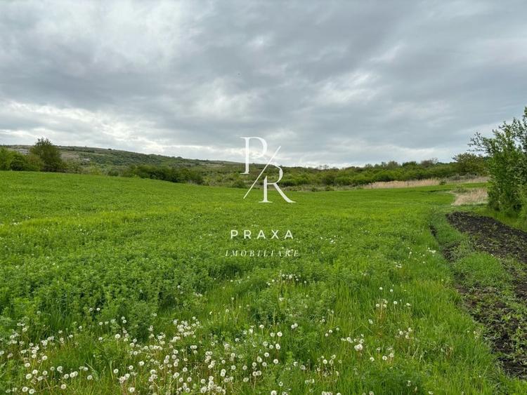 Teren extravilan, 2165 mp, priveliste, zona Dealul Fanatelor! - 1