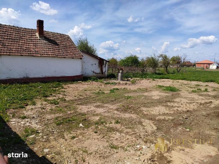 Teren intravilan cu proiect de casa de vanzare in Tarian - Bihor - 2