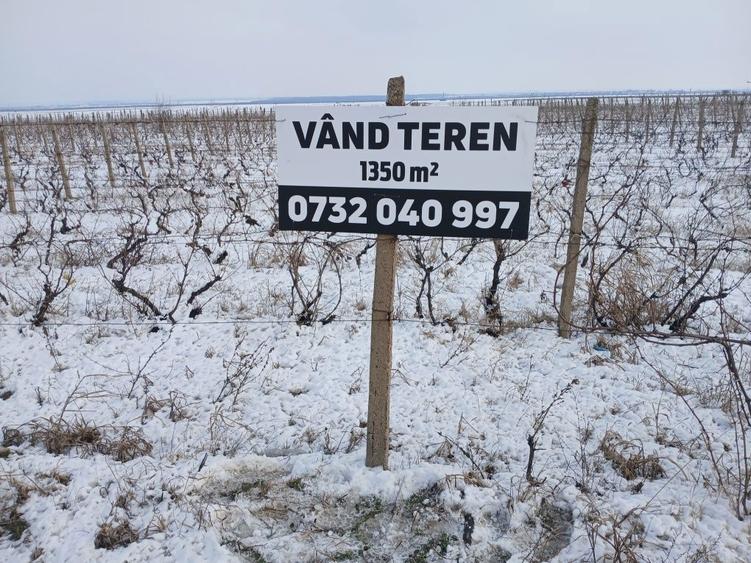 Vand teren la soseaua nationala E85 Dumbraveni - 1