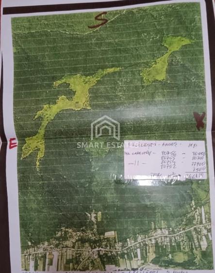 Teren 25 ha cu Izvor Sulfuros in Balilesti - Arges - Comision 0% - 1