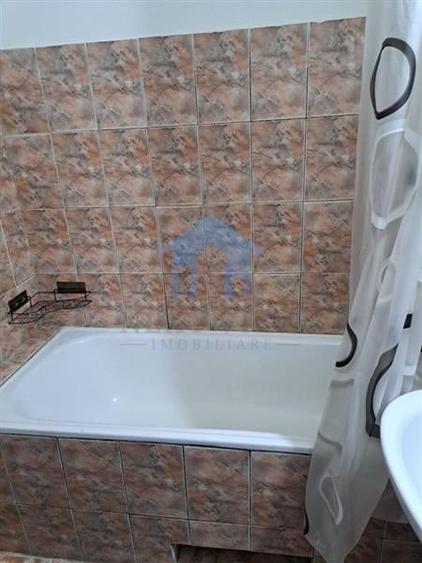 Apartament 1 camera, Plopilor - 2