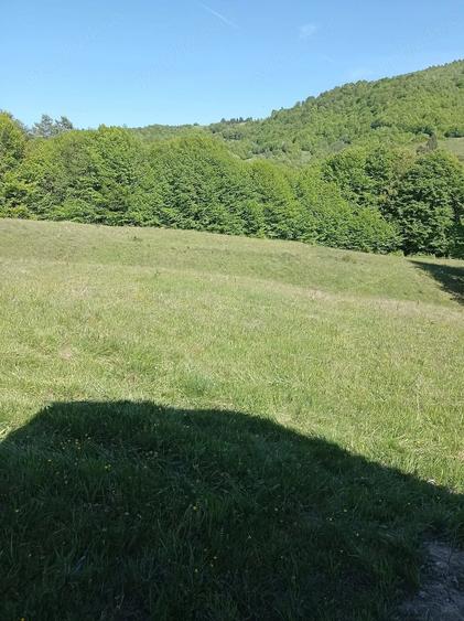Teren de 20000 mp, în Gura Cornei