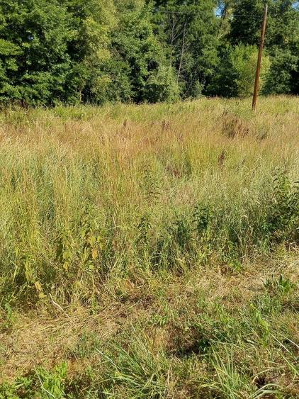 TEREN INTRAVILAN ÎN MARGA-LA DN68 JUD.CARAȘ-SEVERIN - 7